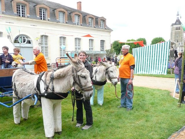 rodho 2013 (96).jpg